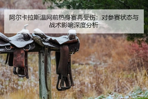 a-er-ka-la-si-wen-wang-qian-re-shen-sai-zai-shou-shang-dui-can-sai-zhuang-tai-yu-zhan-shu-ying-xiang-shen-du-fen-xi-2-823.jpg